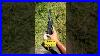 This Laser Helps You Zero Your Pistol